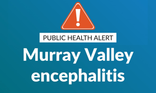 Murray Valley encephalitis public health alert