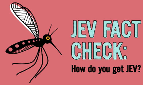 Protect yourself against mosquitoes 